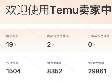 Temu现在日出2000多单，我要开课啦！